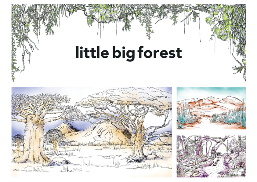Little big forest