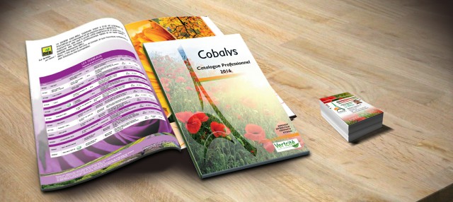Catalogue Cobalys
