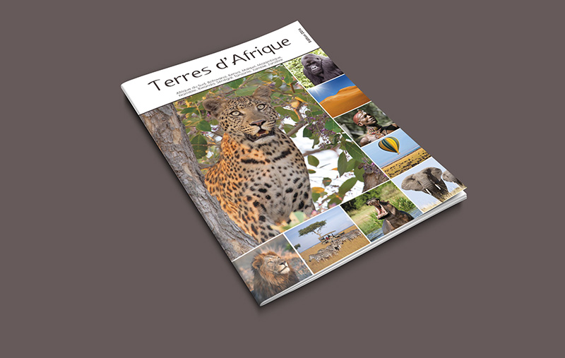 BROCHURE « TERRES D’AFRIQUE »