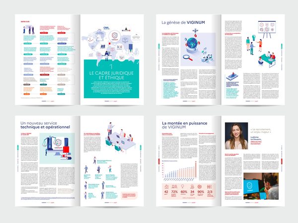 Viginum Rapport Annuel