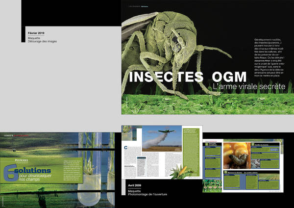 Maquette de pages de Science & Vie
