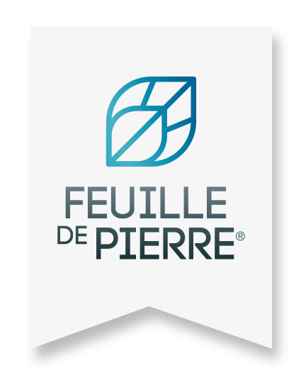 LOGO FEUILLE DE PIERRE