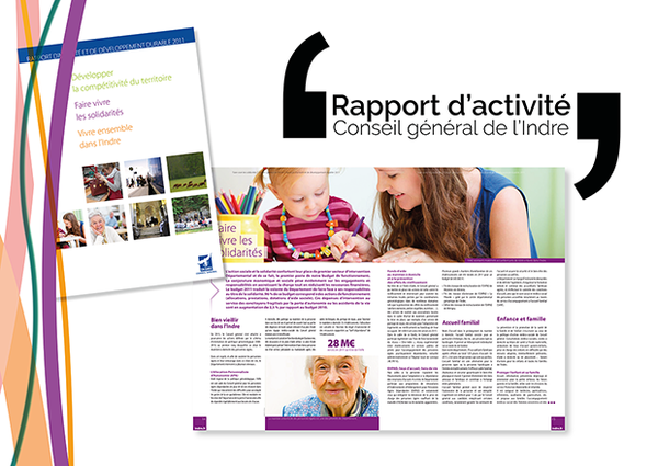 Rapport d'activité Conseil Départemental de l'Indre