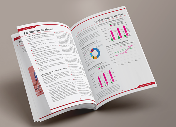 Brochure rapport annuel