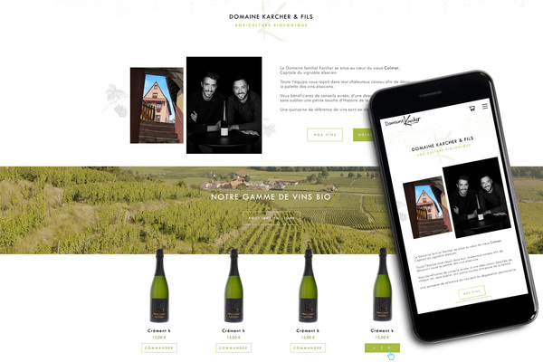 Web design - Domine Karcher