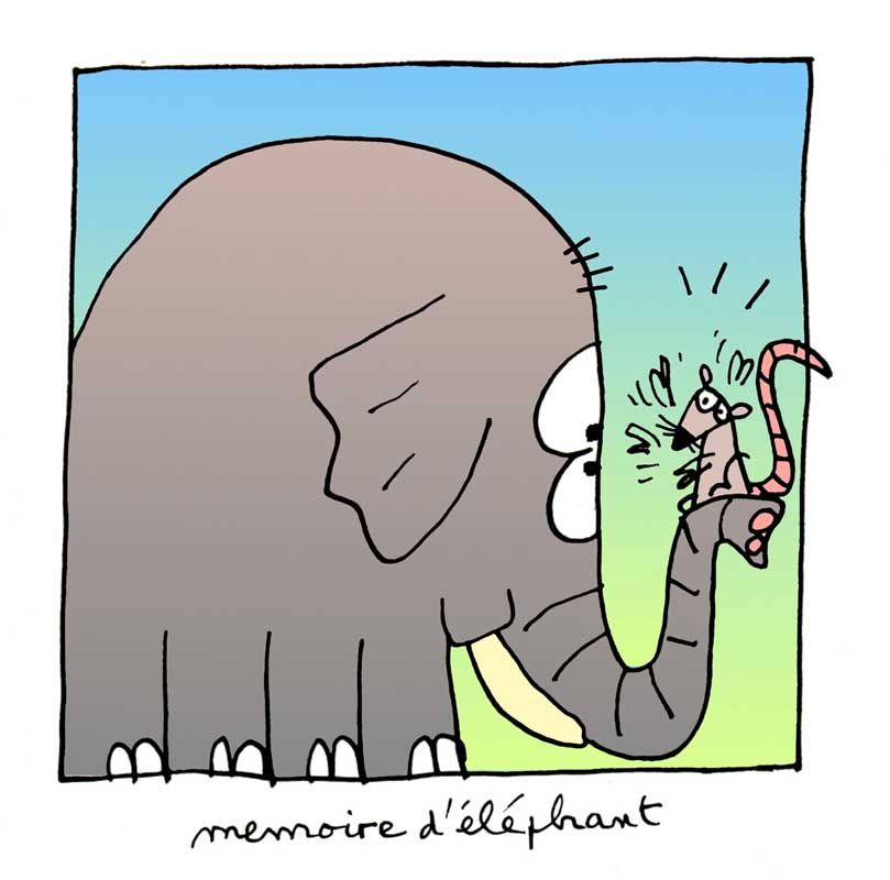 Mmoire d'lphant