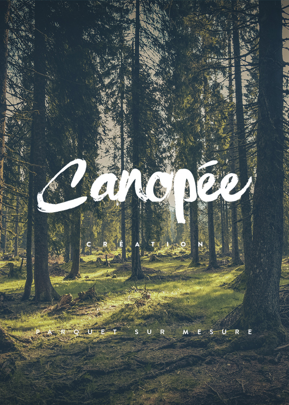 Canope