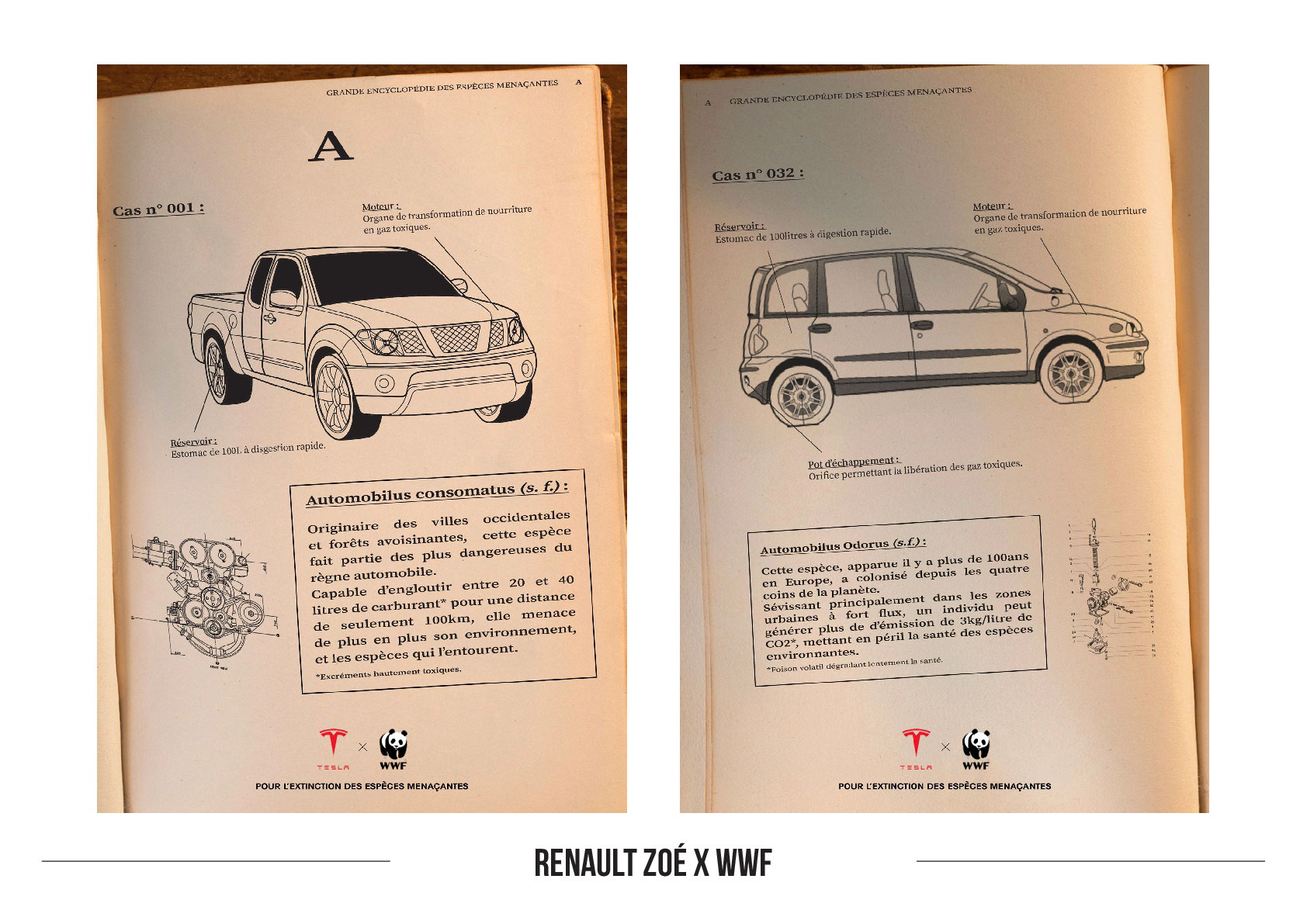 RENAULT ZOE x WWF