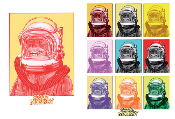 Space monkey