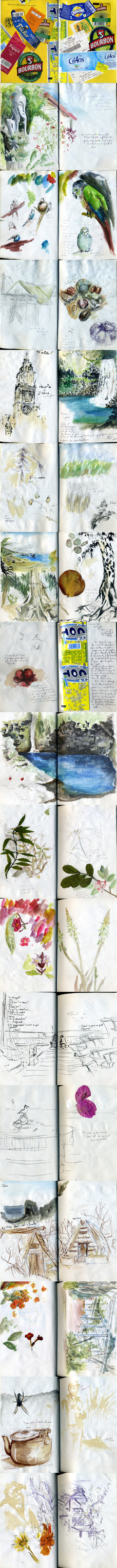 Carnet de voyage - Île de la Réunion