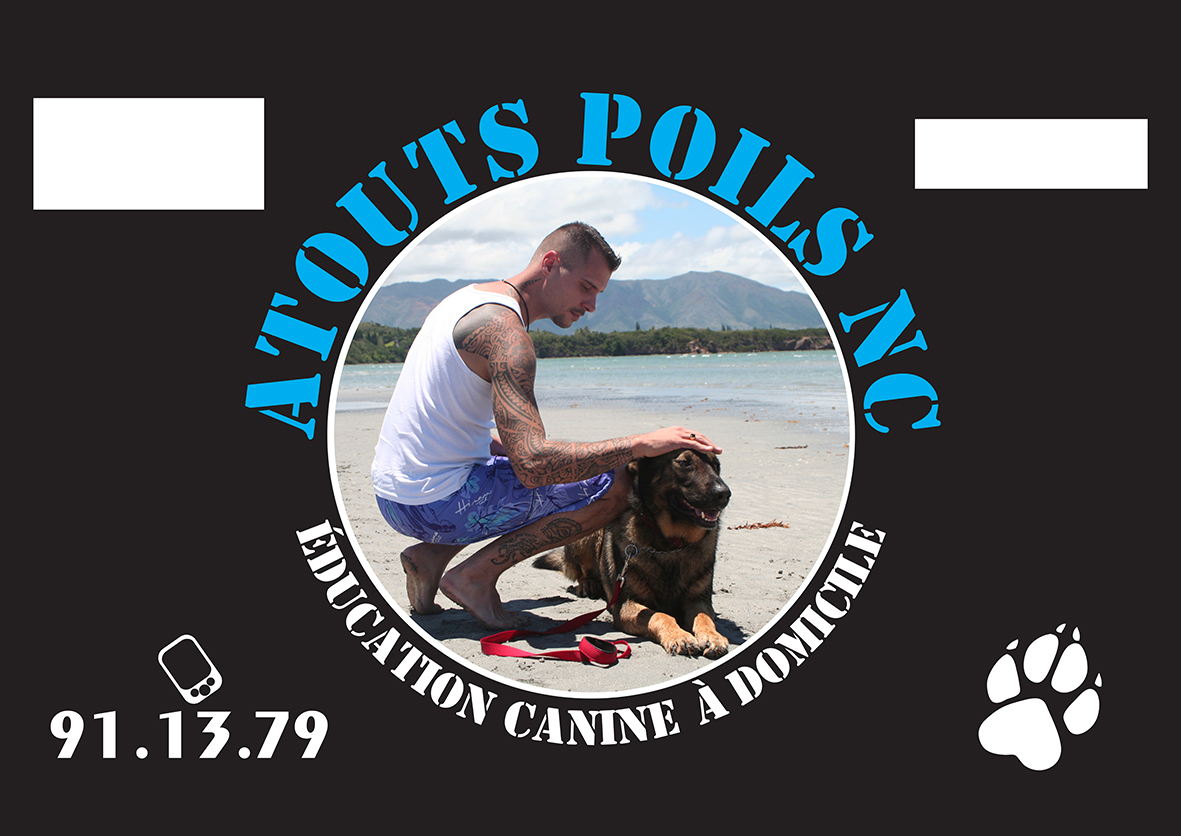 Visuel Stickers pour portière de 4x4