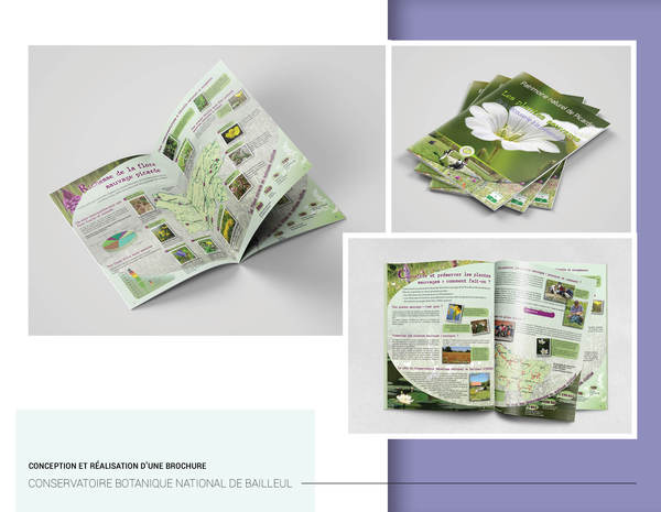 Brochure - CBNBL