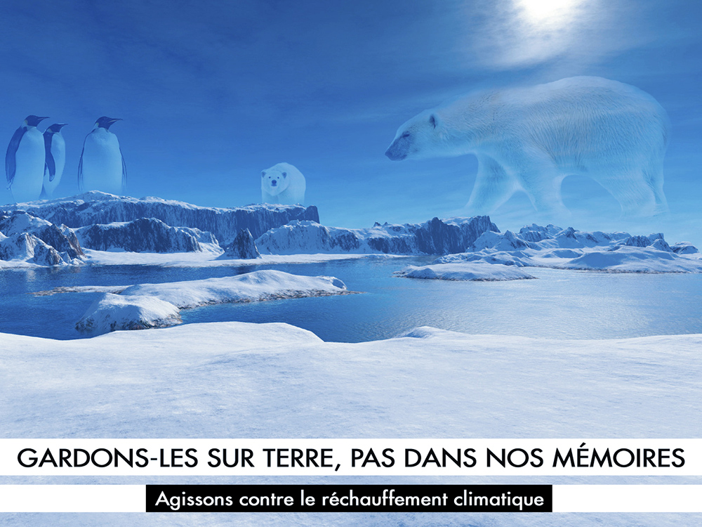 Affiche Publicitaire Réchauffement