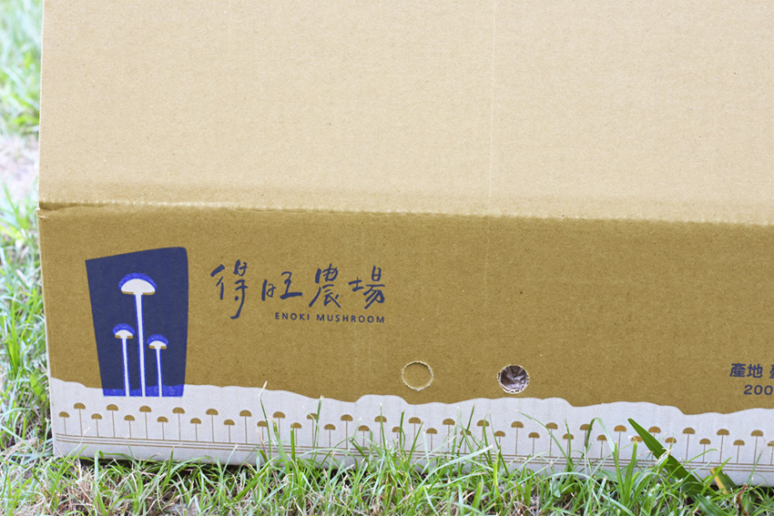 ENOKI - une marque alimentaire à Taïwan