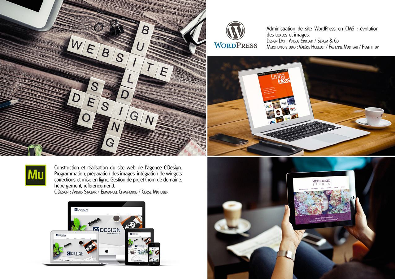 WEB DESIGN