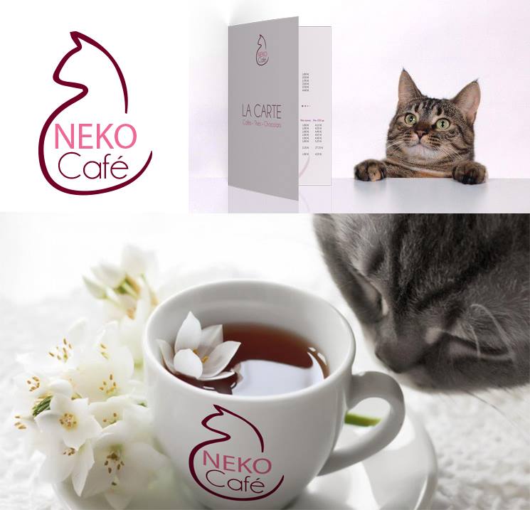 CRÉATION D'UN LOGO POUR UN BAR À CHAT DÉCLINÉ SUR PLUSIEURS SUPPORTS