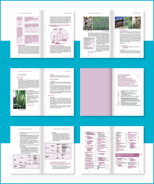 Mise en page intérieur "La science des huiles essentielles"