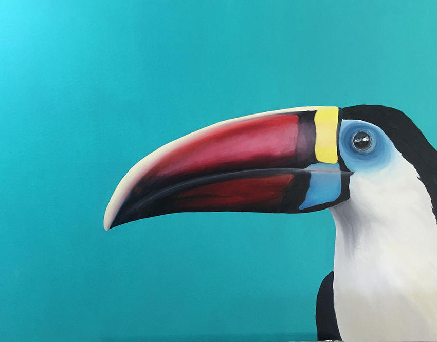 TOUCAN