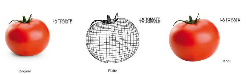 Cration d'une tomate en vectorielle avec l'outil filaire