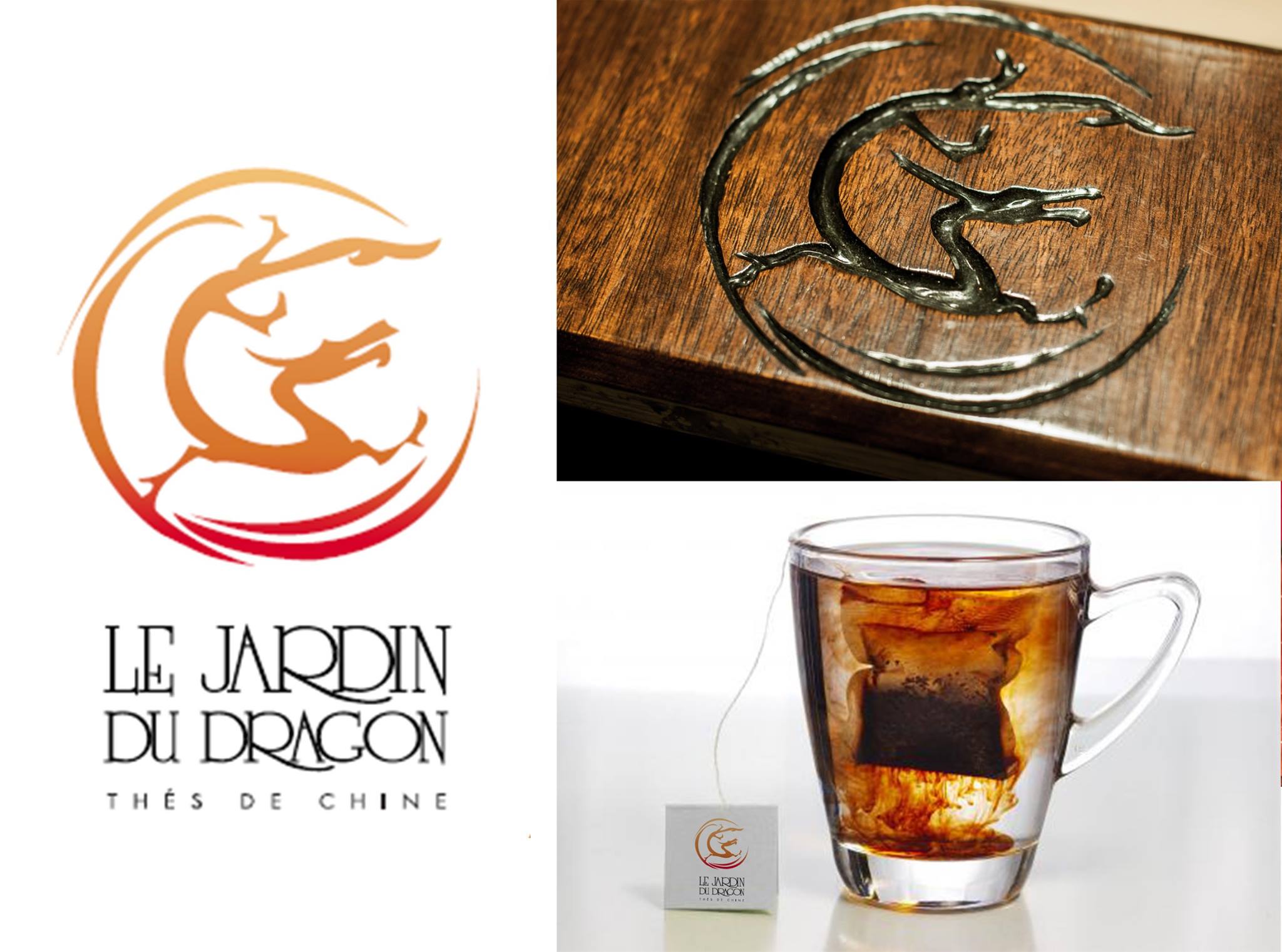 Création d'un logo pour "Le Jardin du Dragon"
