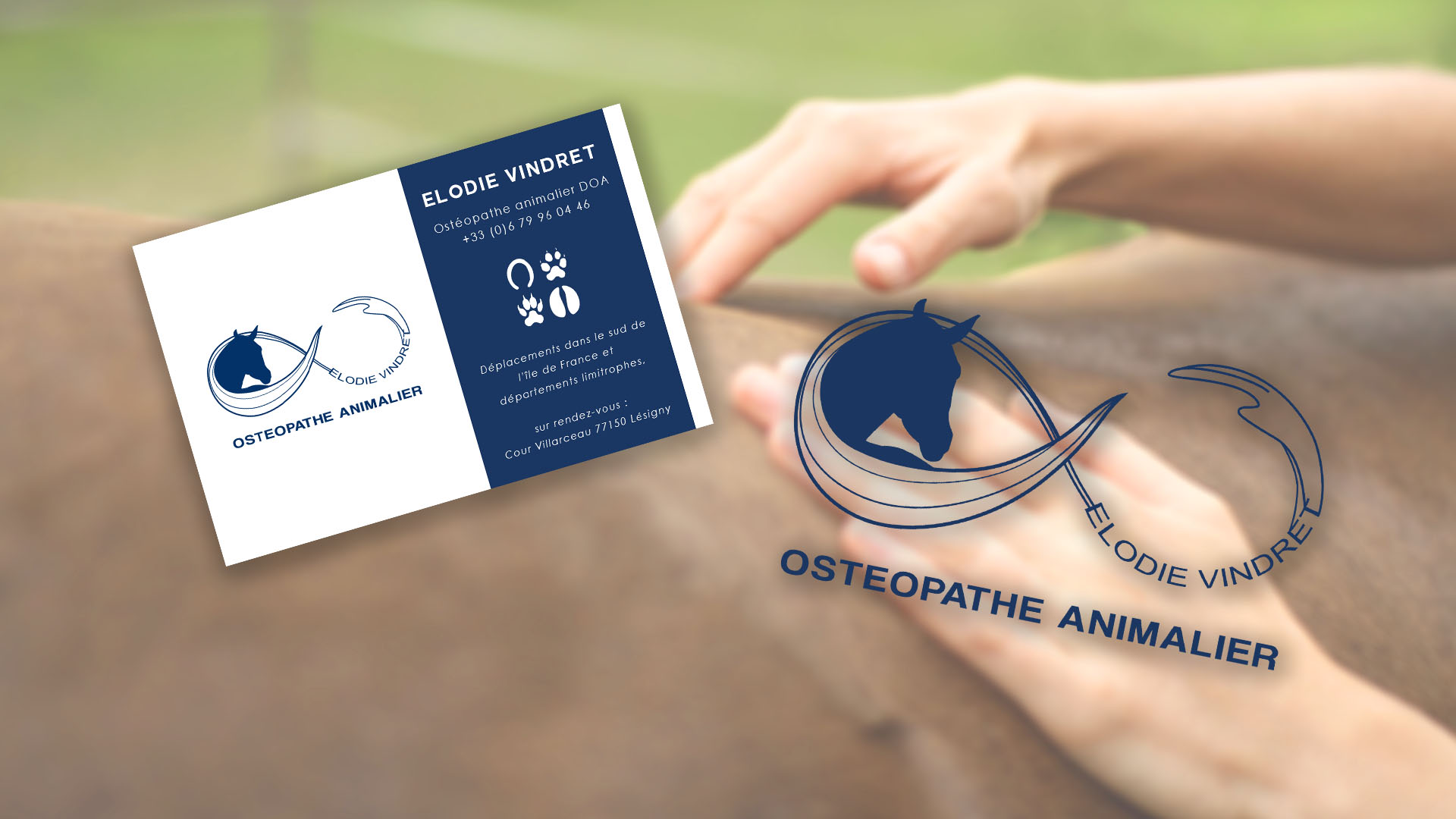 Logo & Carte de visite Ostopathe