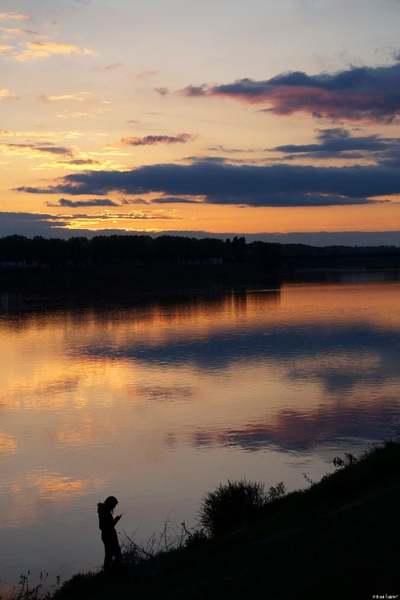 Rives de Loire