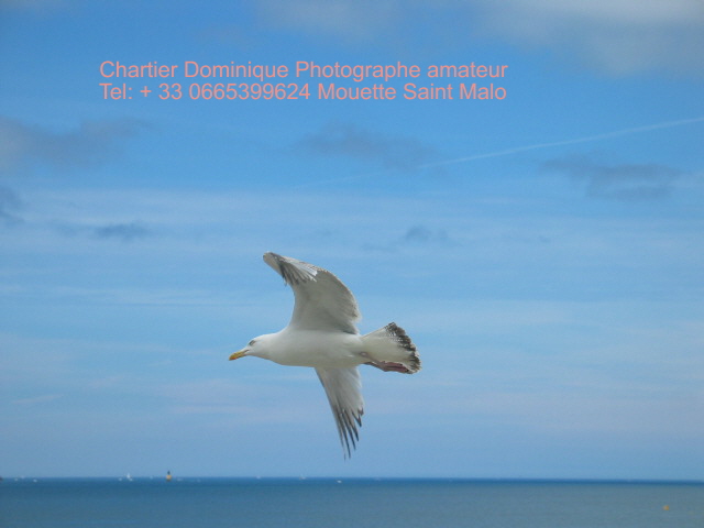 Phographie Saint Malo