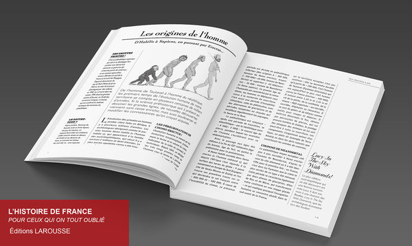 L'histoire de France pour ceux qui on tout oublié