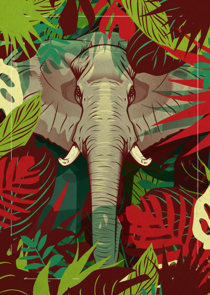 ILLUSTRATION // ELEPHANT