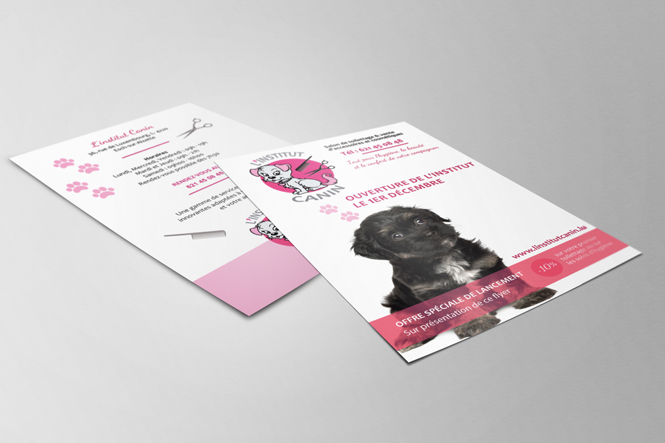 Flyer l'Institut Canin