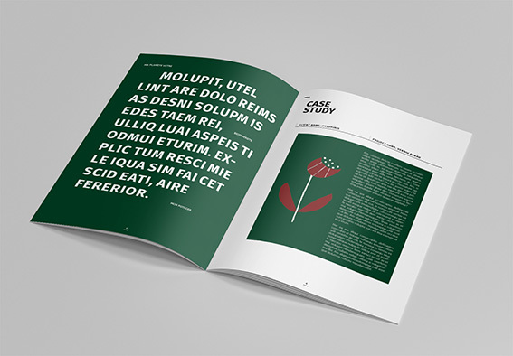 Maquette de la brochure Planète Verte