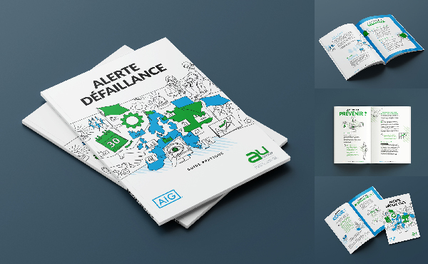 Réalisation d'une brochure et ses illustrations