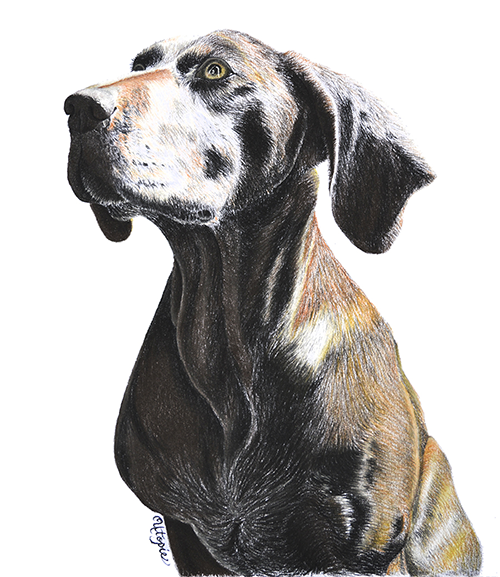Portrait Cassy au pastel