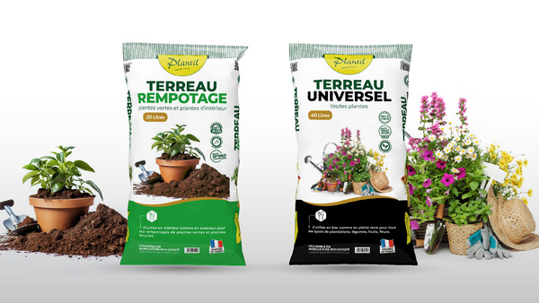 Identité visuelle de marque - Design packaging SOREXTO