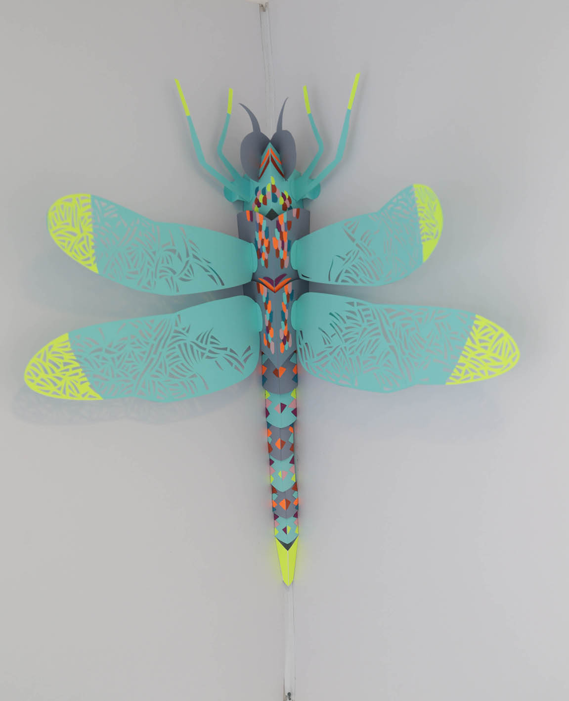 Libellule