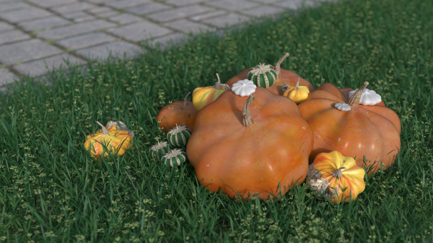 Pumpkins