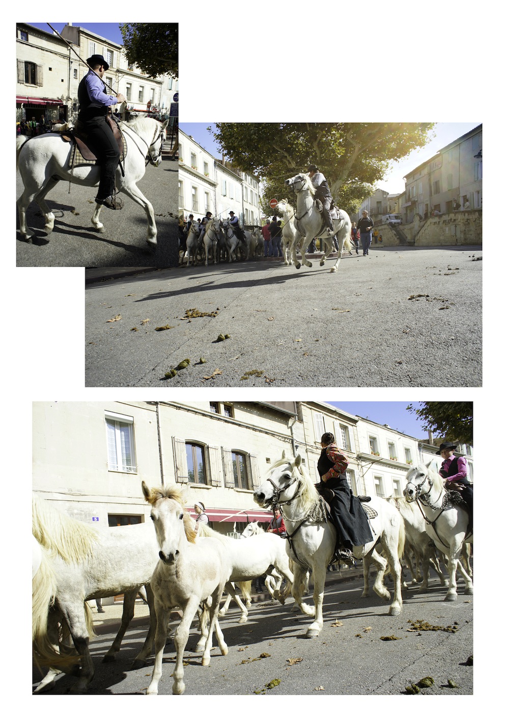 Chevaux