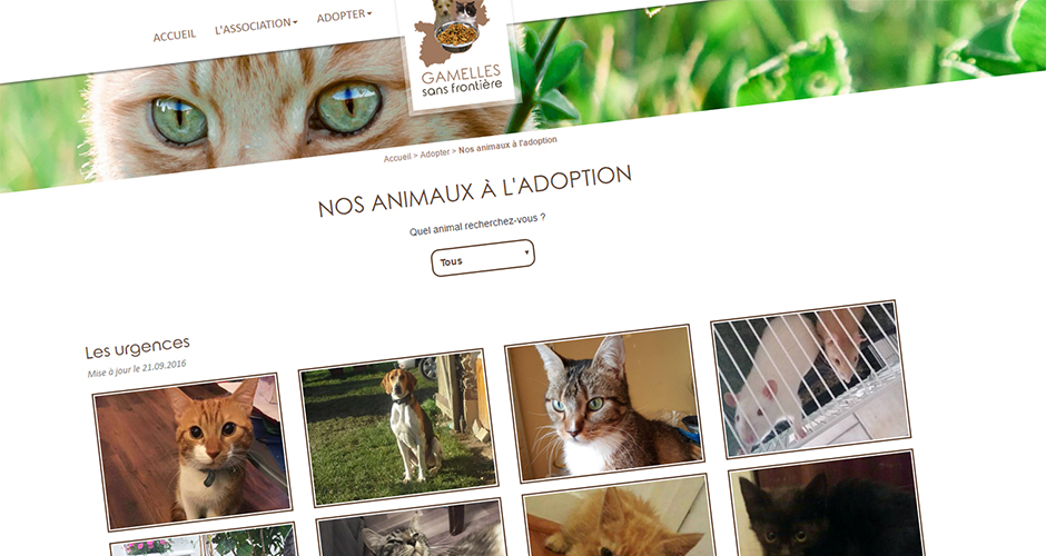 Création du site Gamelles Sans Frontière