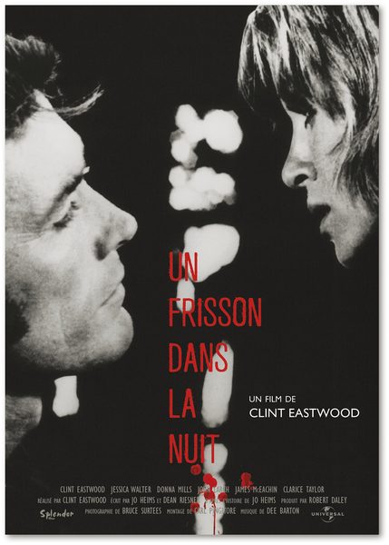 Affiche du film Un frisson dans la nuit