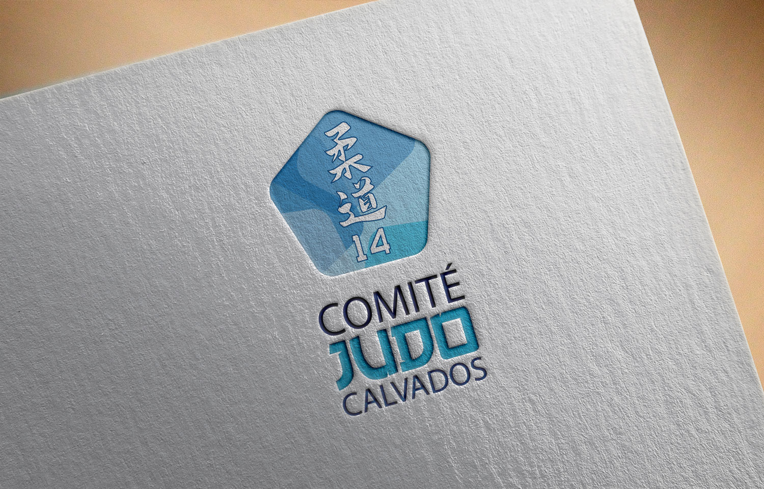 Charte graphique pour le Comité de judo du Calvados