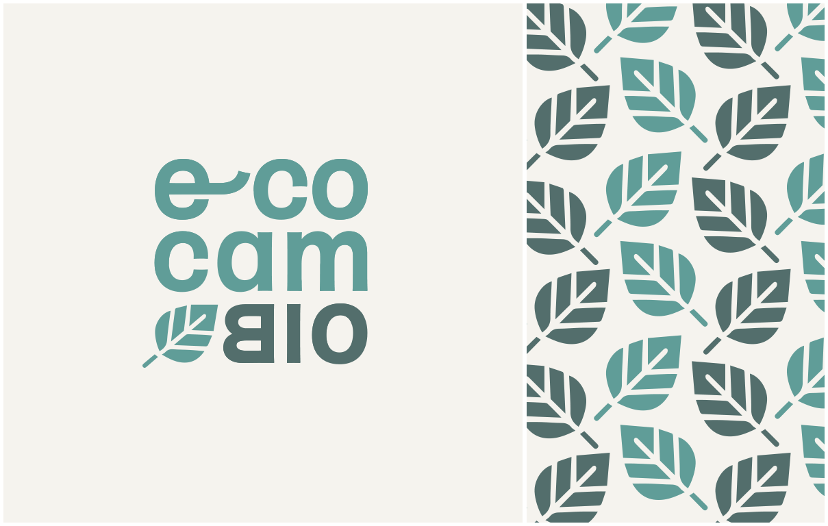 EcoCambio
